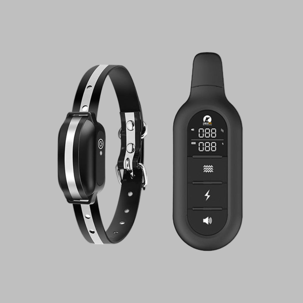 Electric Dog Training Collar with Remote Control