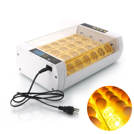 Premium Egg Incubator Automatic Chicken Quail Egg Hatcher 24 Eggs - Cooking Gadget | Kitchen Tool | Durable
