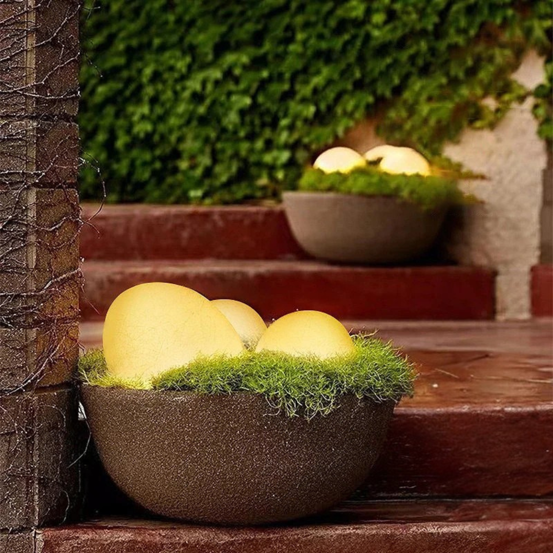 Garden Glow | Solar Outdoor Lights with Remote Control & 16 Color Options | Weather-Resistant Design for Custom Ambience 5