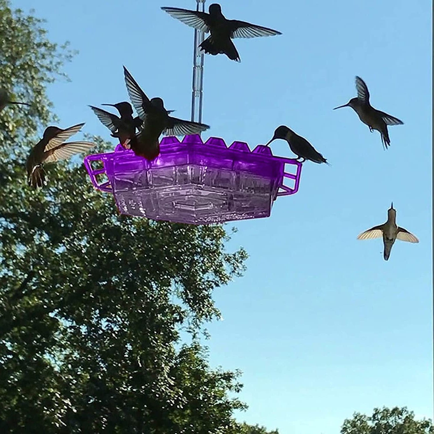 Hummingbird Feeder | 30 Feeding Ports with Ant Moat | Easy Fill Design for Attracting Hummingbirds 0