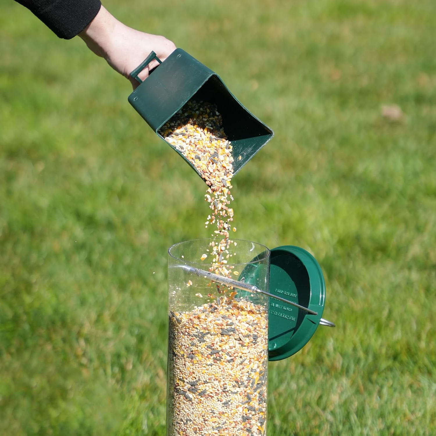 Wildlife Haven | Hanging Bird Feeder with Squirrel-Proof Design | Durable Solution for Backyard Birdwatching 2