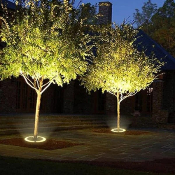 LED Tree Spotlight - Kitchen Tool | Durable | Cooking Gadget